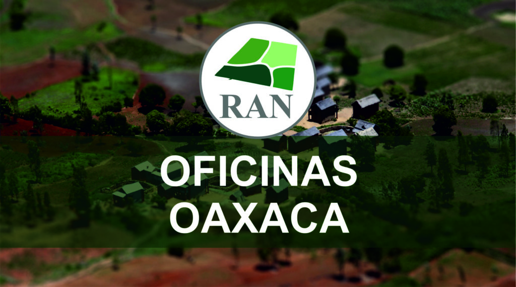 La imagen tiene un atributo ALT vacío; su nombre de archivo es oficinas-ran-oaxaca-1024x569.jpg