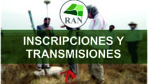 Inscripciones y Transmisiones en el RAN: Guía completa