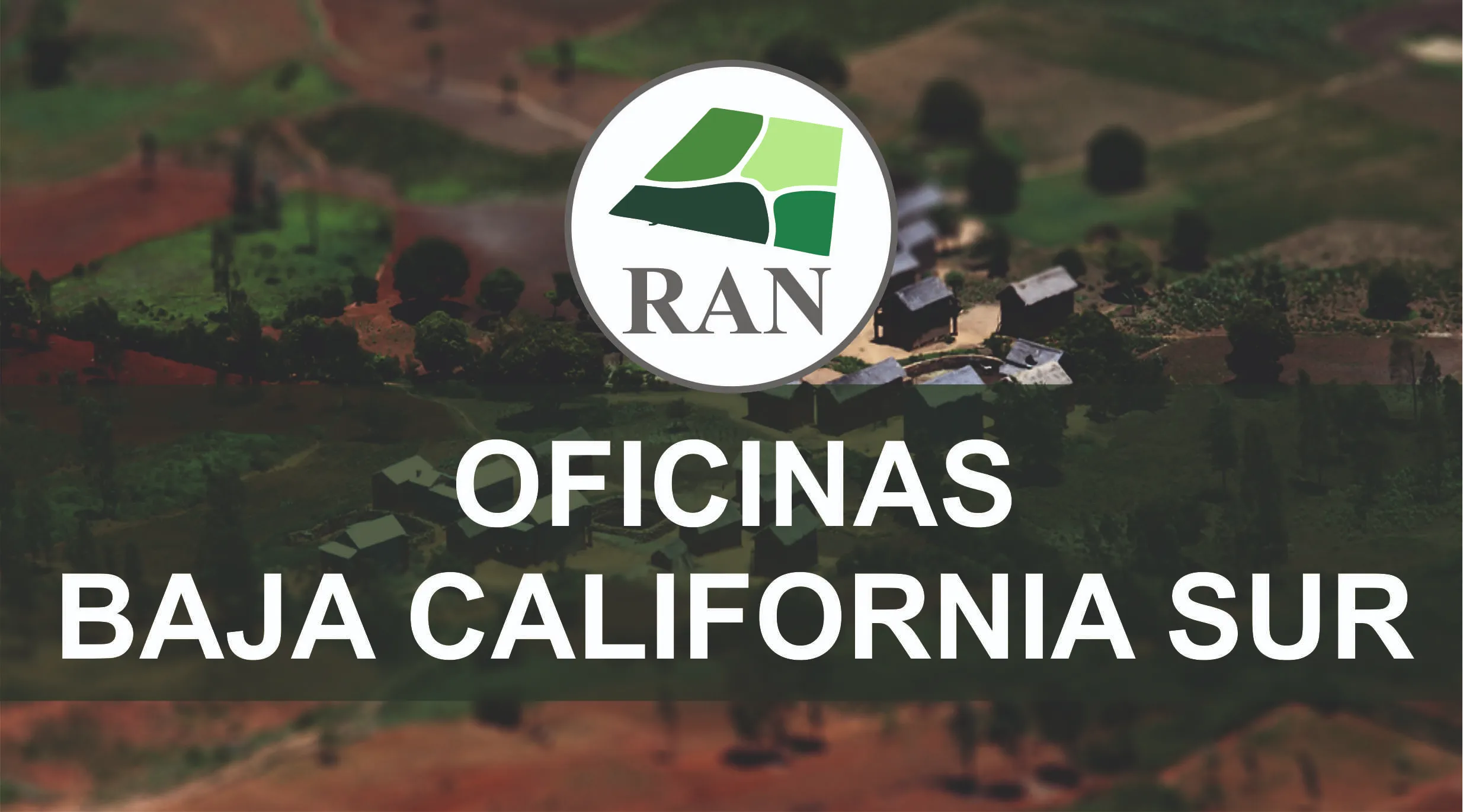 citas ran