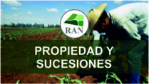 Propiedad y Sucesiones en el RAN: Guía completa